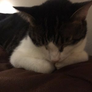 Meet your Posher, Lori